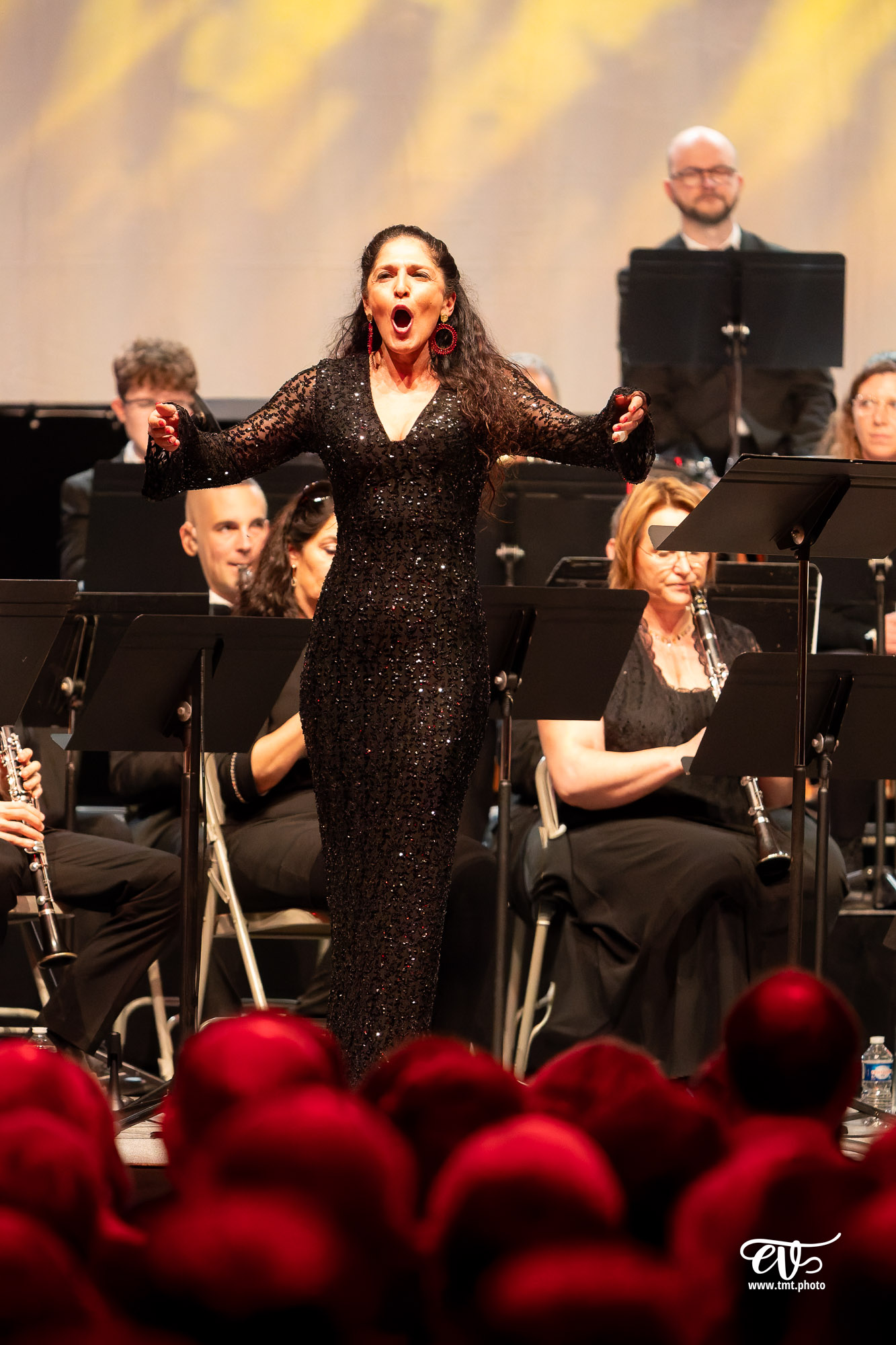 OHH - CONCERT DU NOUVEL AN 2026